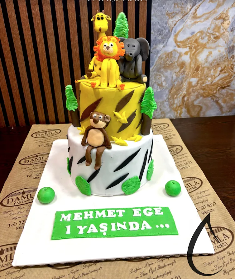 Damla Pastanesi Fotoğrafı - 4