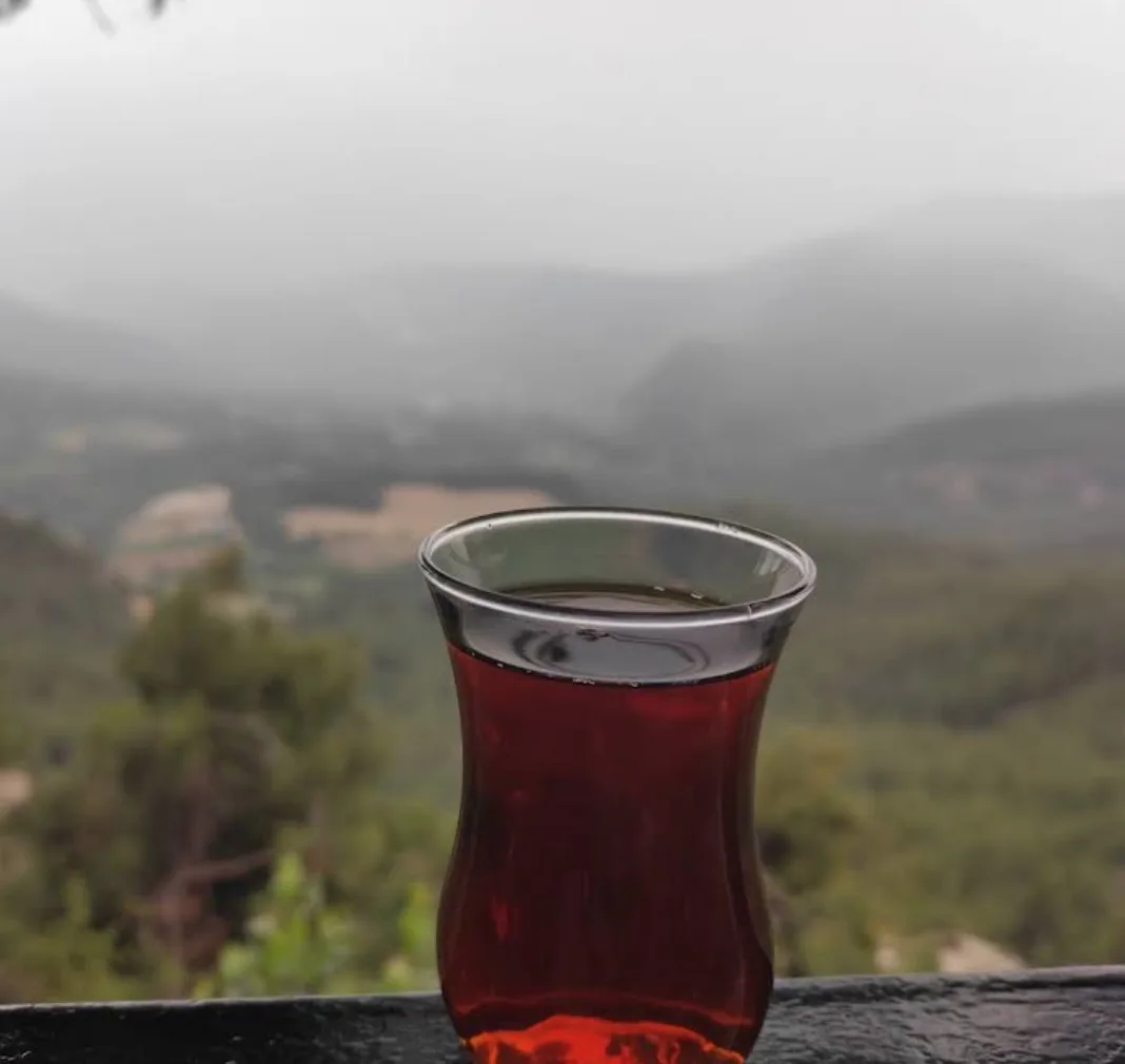 Atdağ Lokantası Fotoğrafı - 3