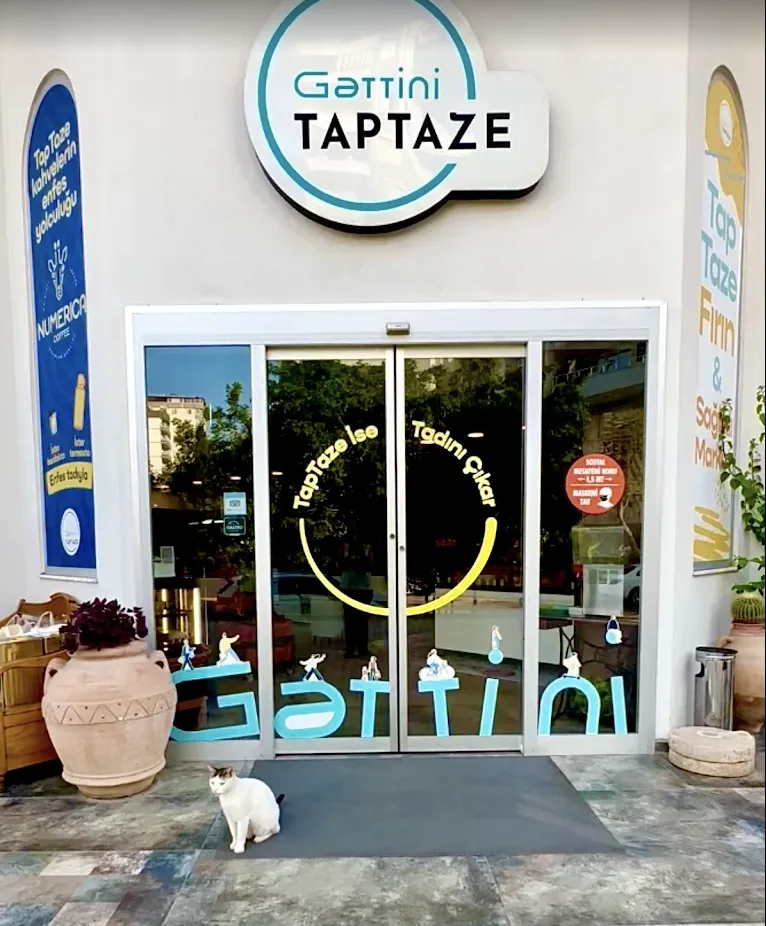 Gattini TapTaze Fotoğrafı - 4
