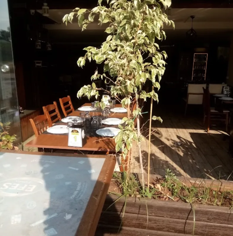 Ala Restoran Fotoğrafı - 7