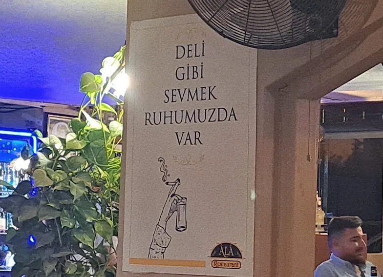 Ala Restoran Fotoğrafı - 8