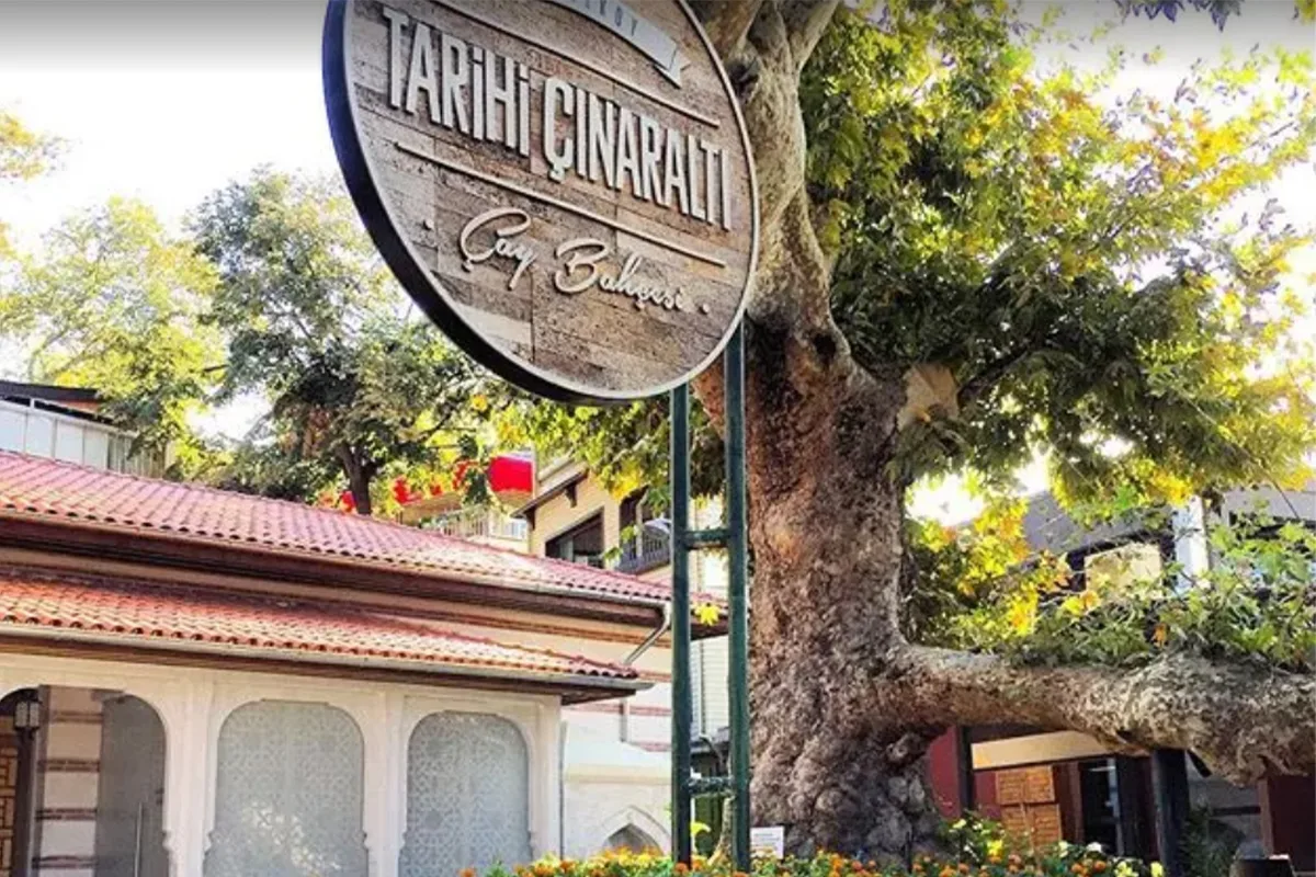 Çengelköy Tarihi Çınaraltı - Üsküdar Mekanı Görseli