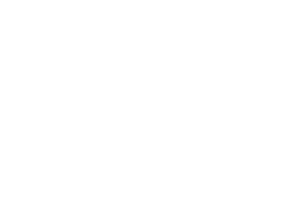 Burcu Patiseri